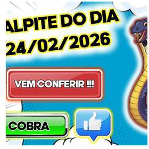 palpite do dia 24